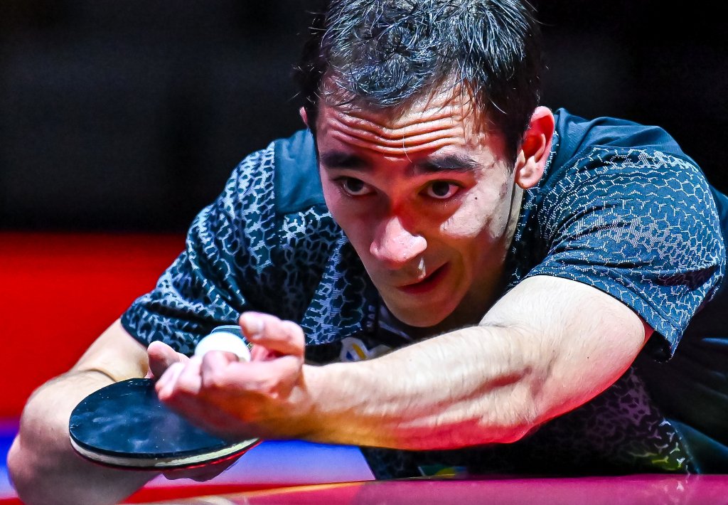 大豪强的表 大豪强的表