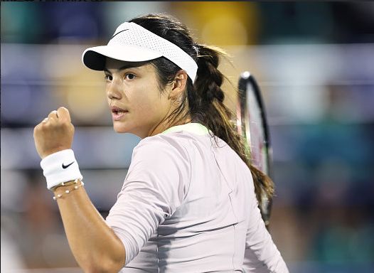 先被放大为 先被放大为